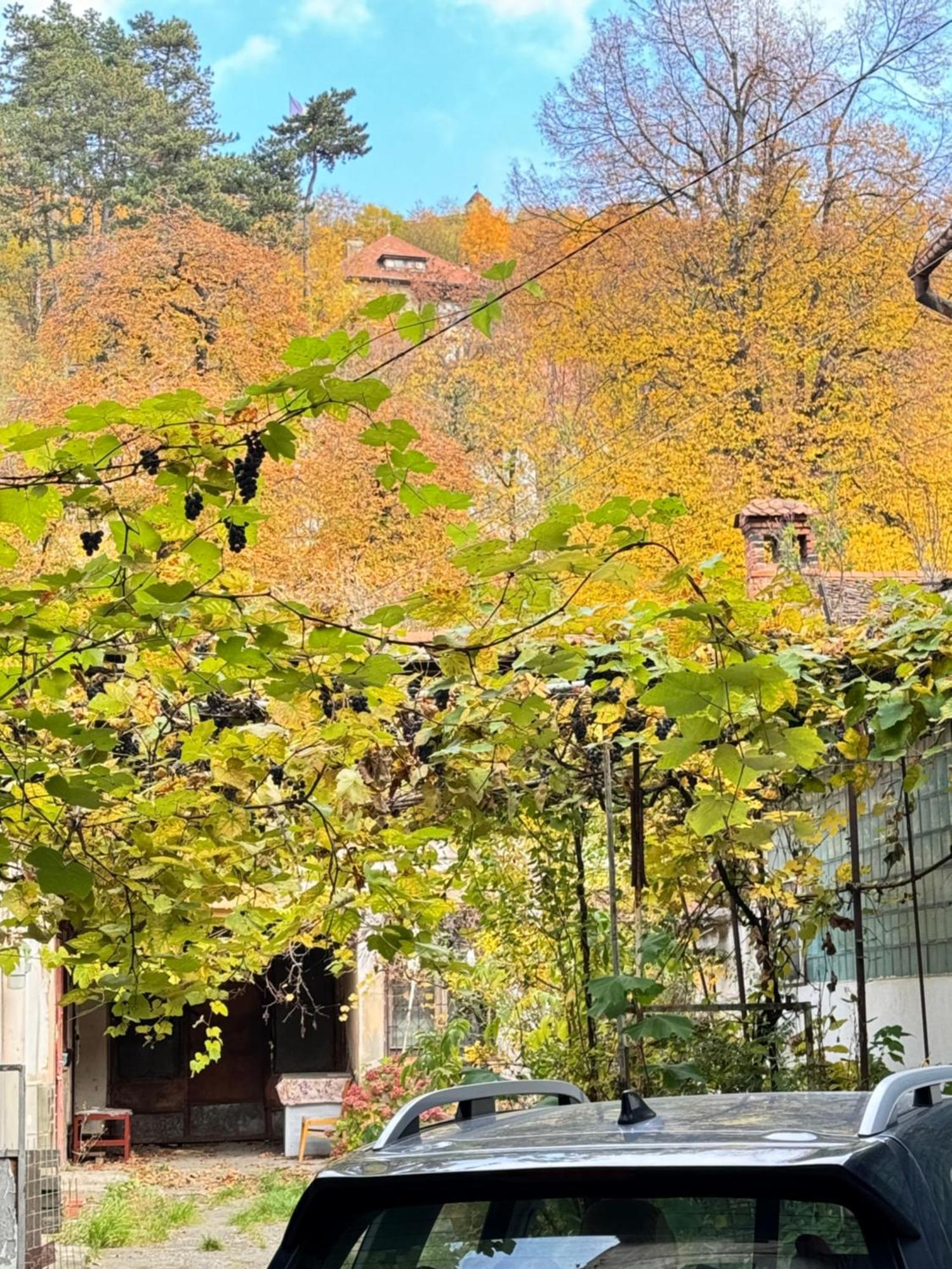 Casa Ming Villa Braşov Dış mekan fotoğraf