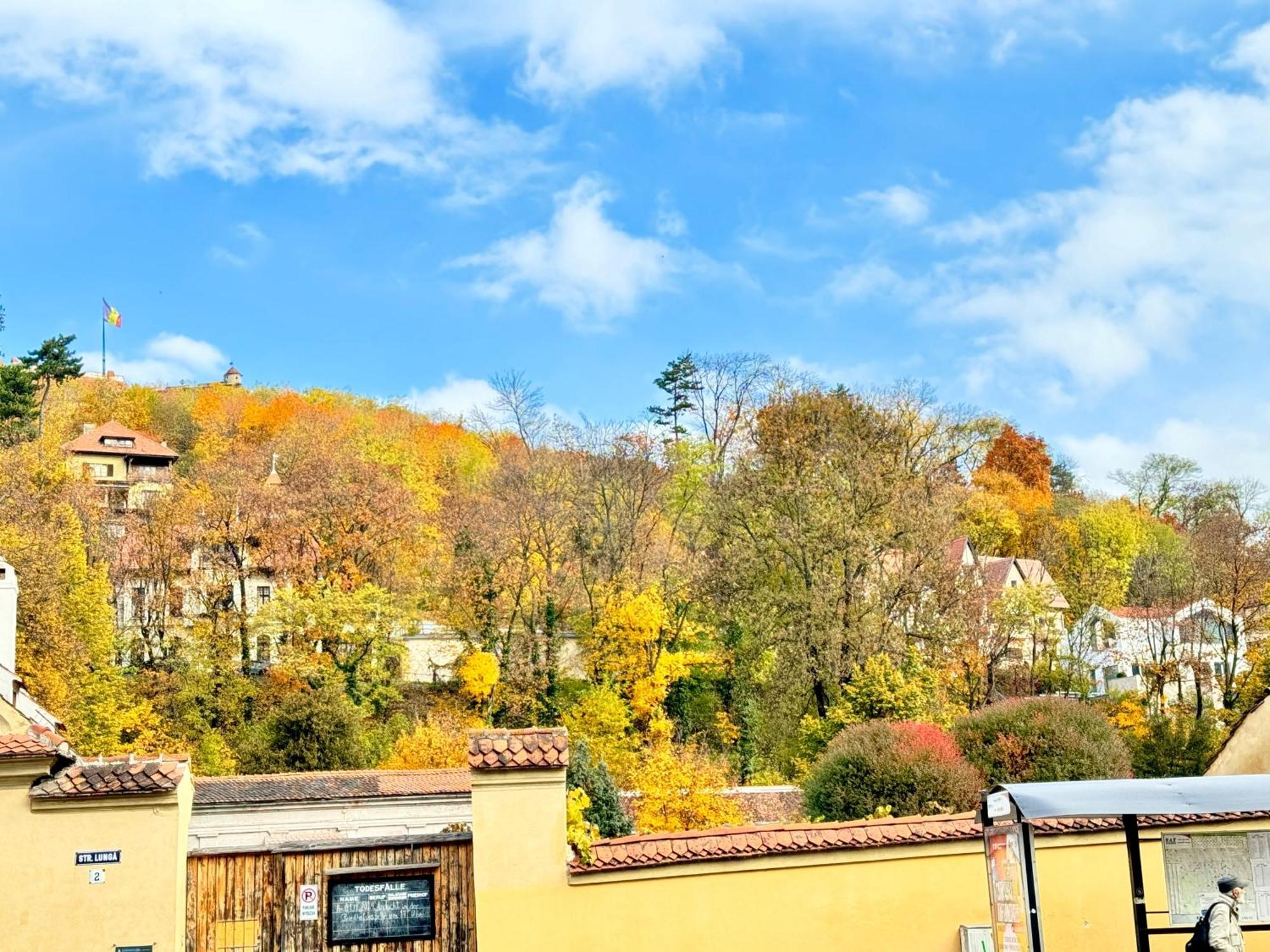 Casa Ming Villa Braşov Dış mekan fotoğraf